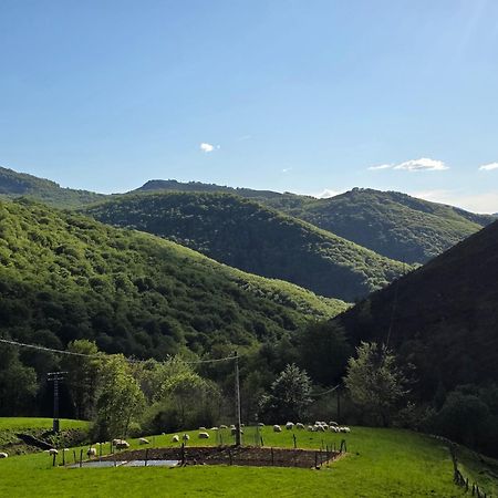 Casa Rural Urruska Elizondo Dış mekan fotoğraf