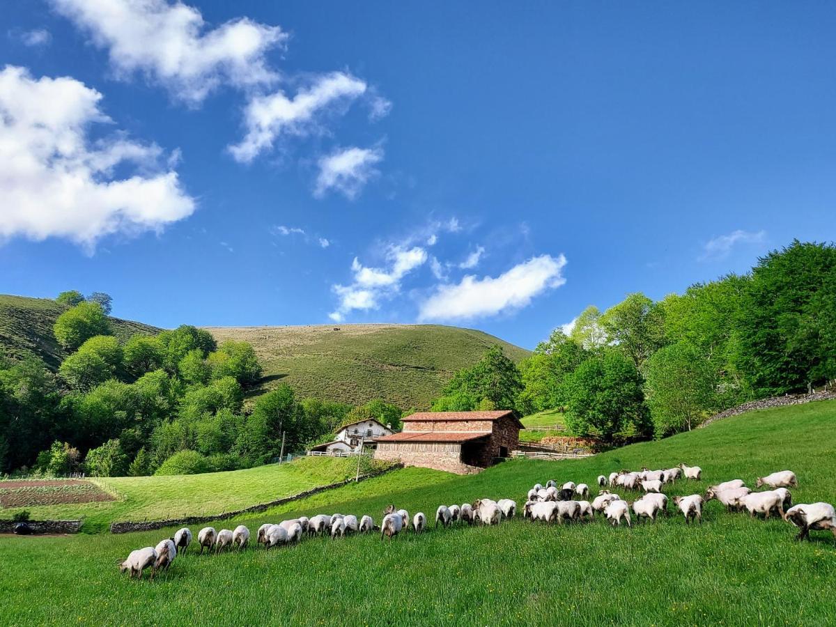 Casa Rural Urruska Elizondo Dış mekan fotoğraf