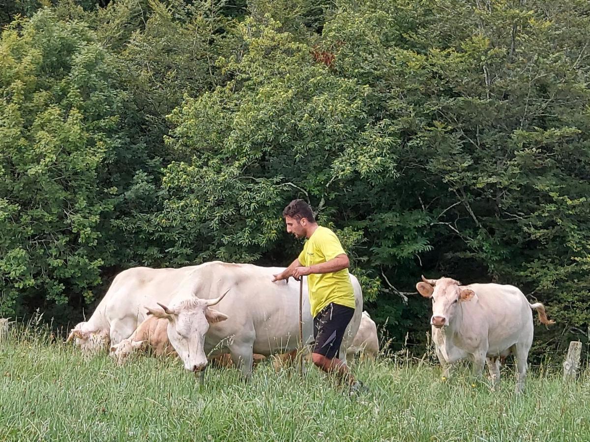 Casa Rural Urruska Elizondo Dış mekan fotoğraf