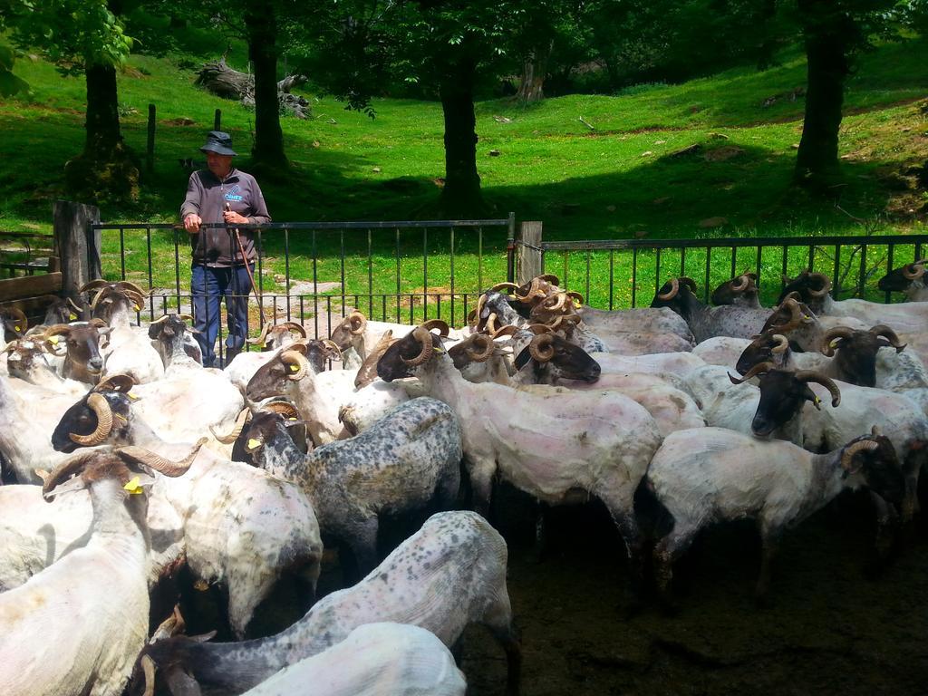Casa Rural Urruska Elizondo Dış mekan fotoğraf