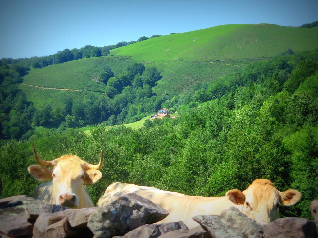 Casa Rural Urruska Elizondo Dış mekan fotoğraf