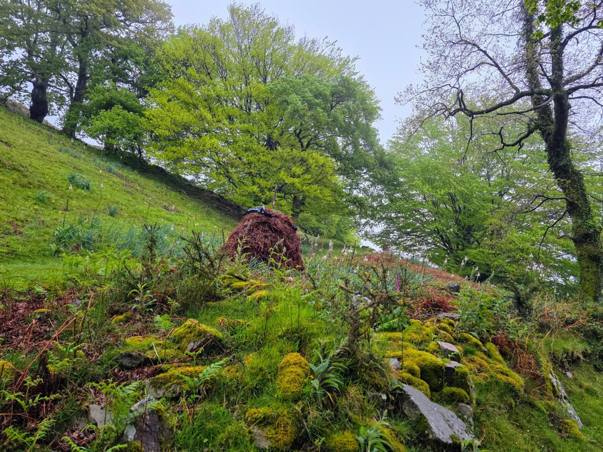 Casa Rural Urruska Elizondo Dış mekan fotoğraf