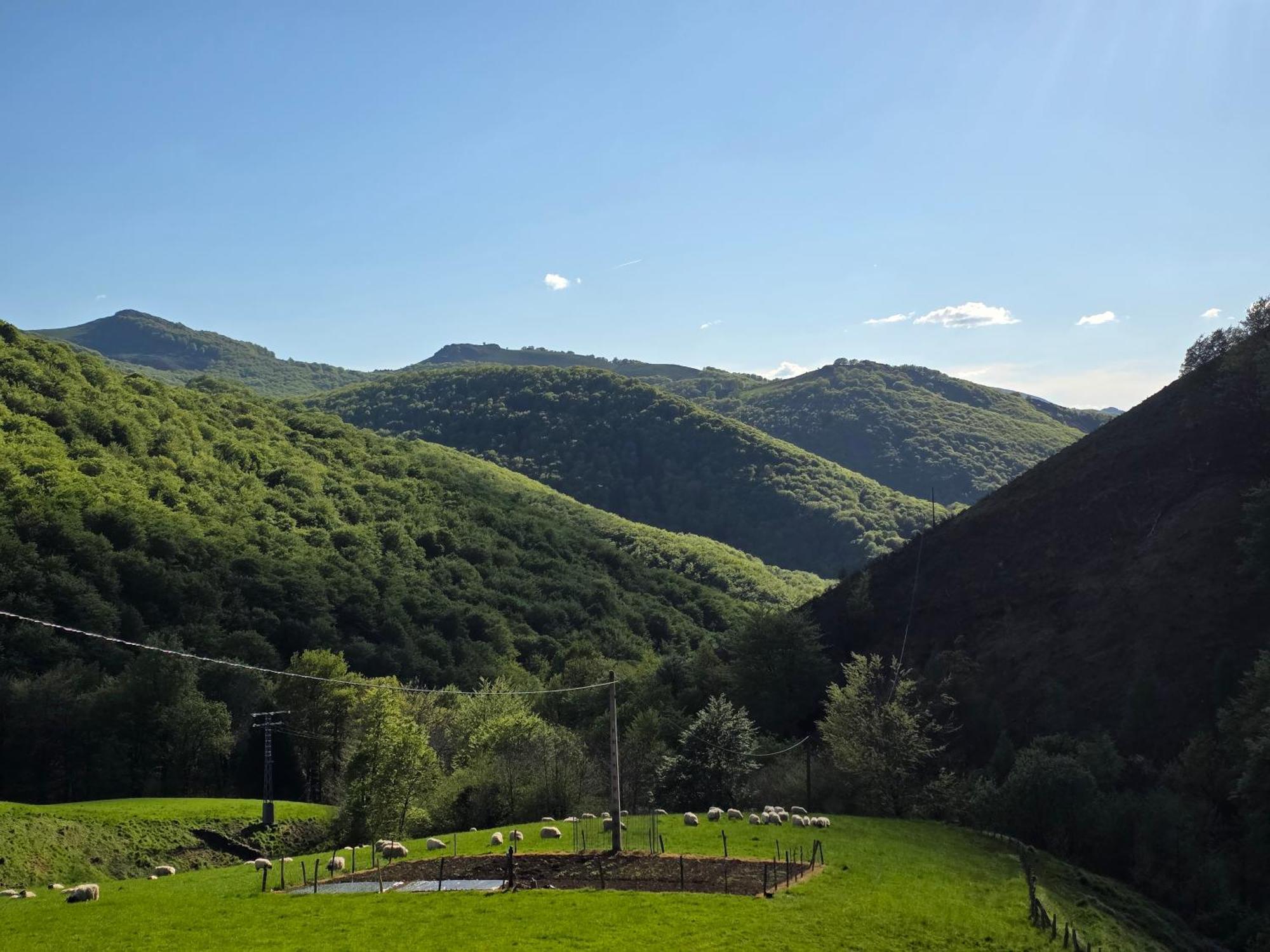 Casa Rural Urruska Elizondo Dış mekan fotoğraf