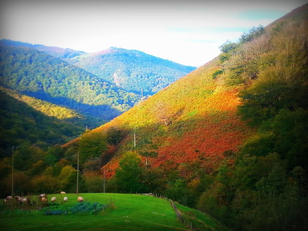 Casa Rural Urruska Elizondo Dış mekan fotoğraf