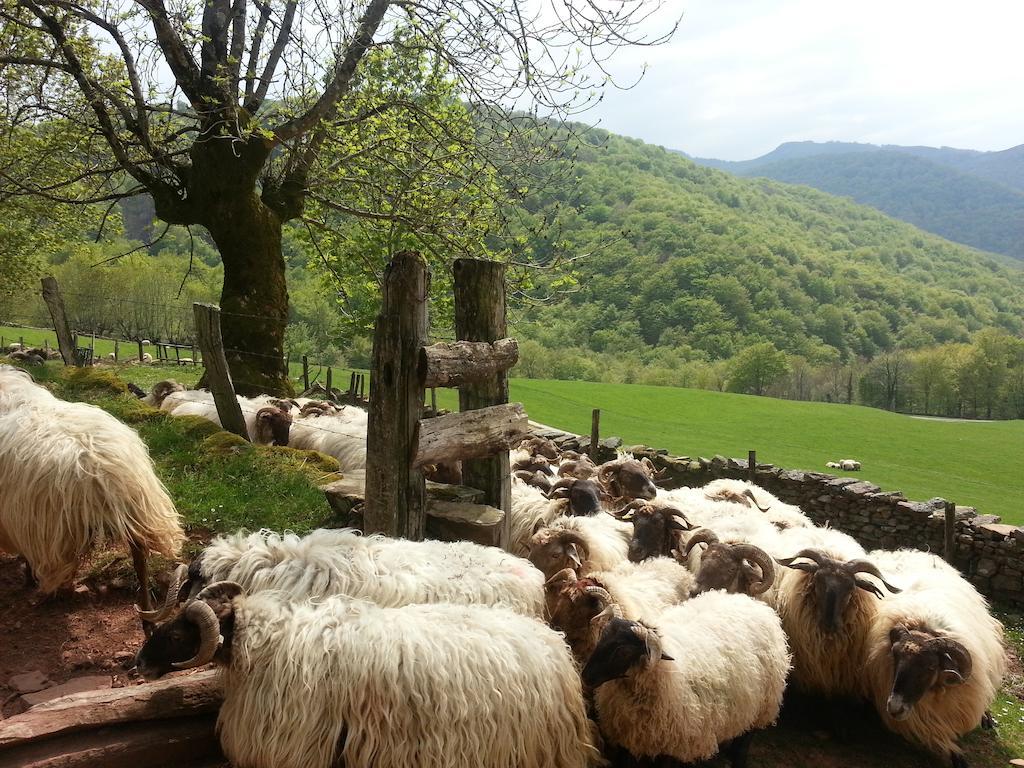 Casa Rural Urruska Elizondo Dış mekan fotoğraf