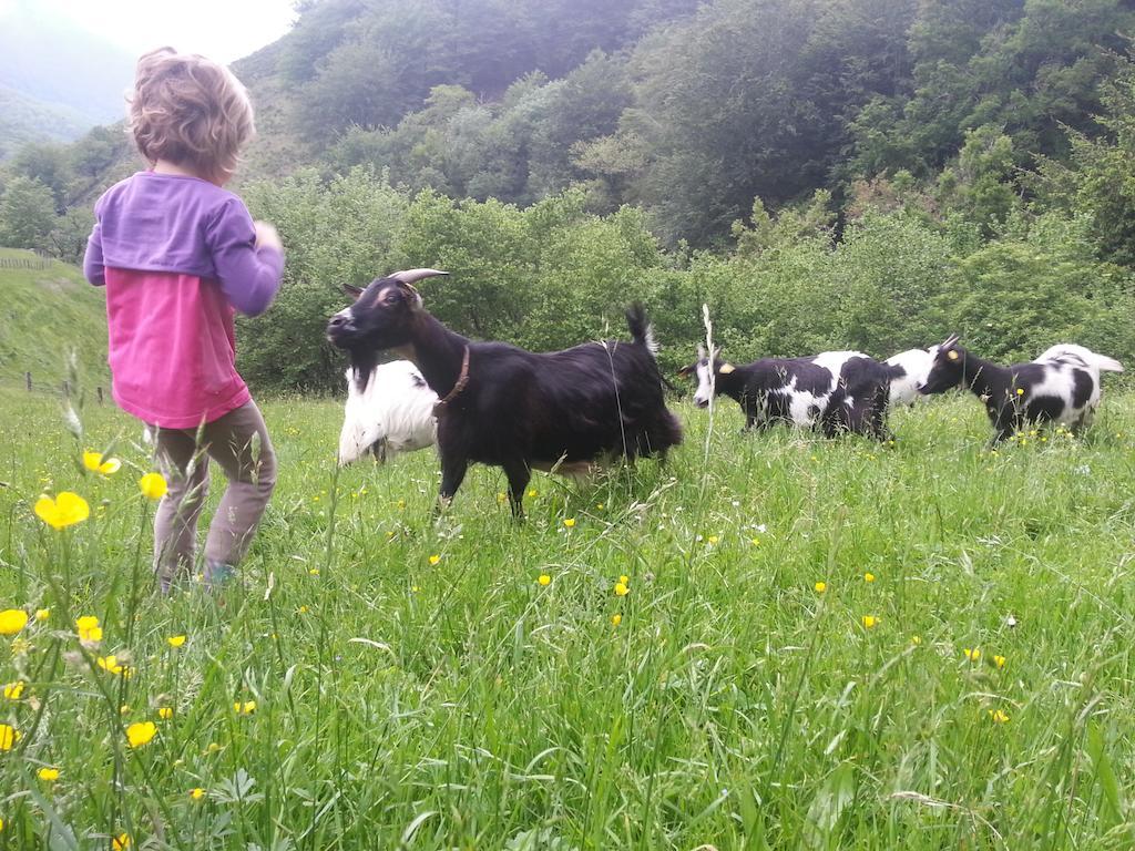Casa Rural Urruska Elizondo Dış mekan fotoğraf