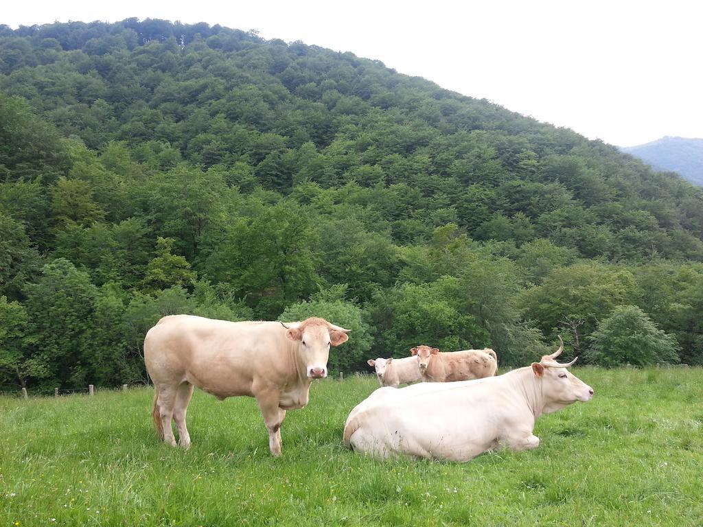 Casa Rural Urruska Elizondo Dış mekan fotoğraf