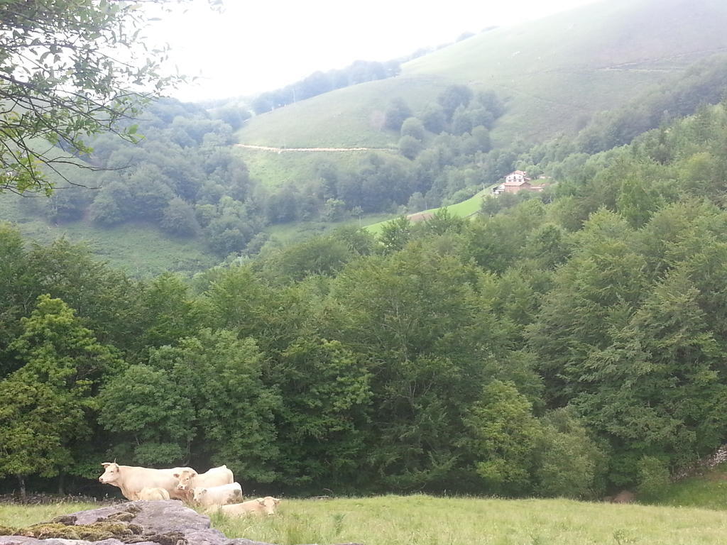 Casa Rural Urruska Elizondo Dış mekan fotoğraf
