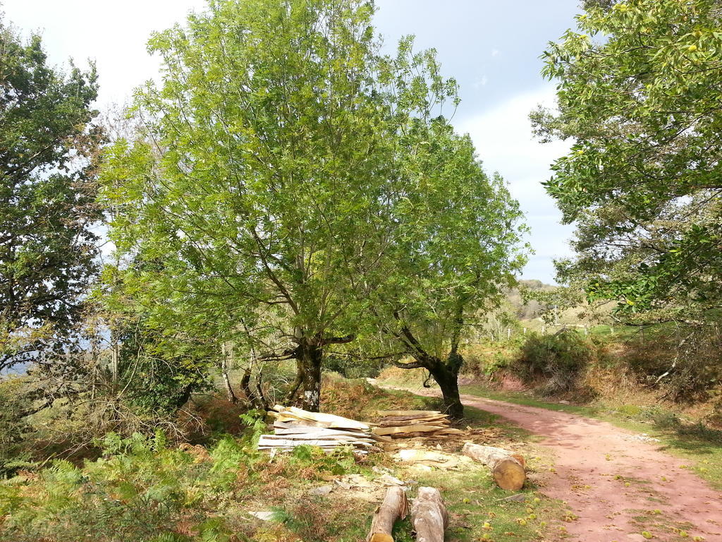 Casa Rural Urruska Elizondo Dış mekan fotoğraf