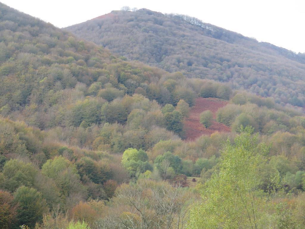 Casa Rural Urruska Elizondo Dış mekan fotoğraf