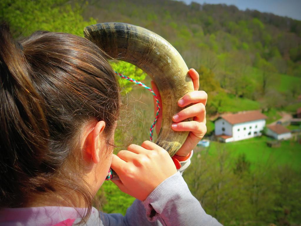 Casa Rural Urruska Elizondo Dış mekan fotoğraf