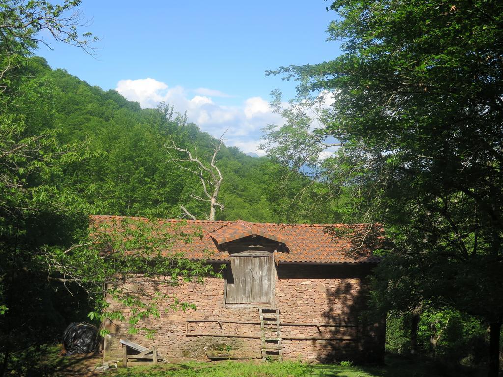 Casa Rural Urruska Elizondo Dış mekan fotoğraf